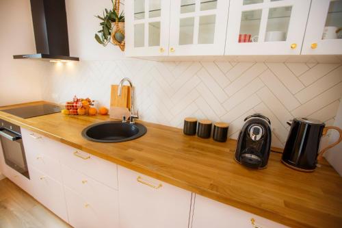 a kitchen with a sink and a counter top at Bochenka Apartments II in Kraków