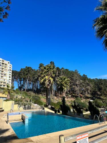 une grande piscine avec des palmiers en arrière-plan dans l'établissement Condominio Pinares del Canelillo, à Algarrobo