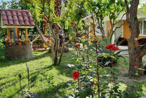 un jardín con flores rojas y una casa en Casa privada Hospedaje Rural Oro tinto, en Santa Cruz