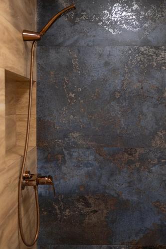 a shower in a bathroom with a painting on the wall at 4 Pory Roku Apartamenty Domki Pokoje in Nadole