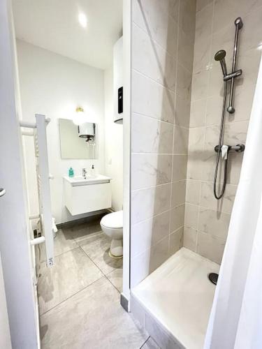 une salle de bain blanche avec douche et toilettes dans l'établissement Le Nacre 17 - Bourg-de-Péage, à Bourg-de-Péage