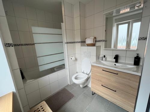 ein Bad mit einem WC, einem Waschbecken und einer Dusche in der Unterkunft Le 31 - Mulhouse Pfastatt in Pfastatt