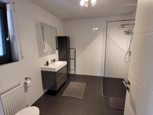 a bathroom with a shower and a sink and a toilet at Terrassenwohnung in Siegburg in Siegburg