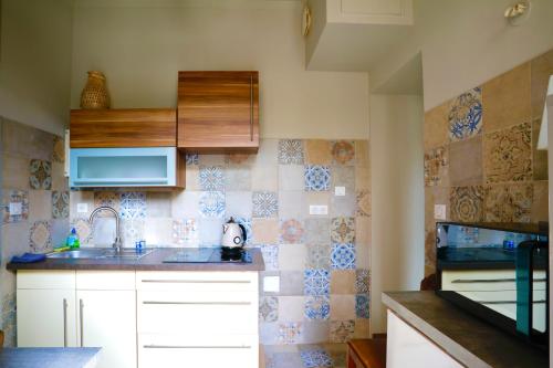 une cuisine avec un évier et un comptoir dans l'établissement Villa Kronberg, à Nancy