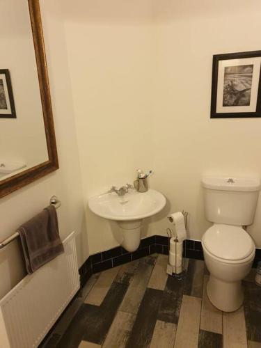 a bathroom with a toilet and a sink at The Apartment Benone in Castlerock