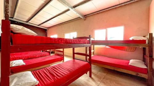 La Maquinita Hostel في مار ديل بلاتا: غرفة مع ثلاثة أسرة بطابقين مع ملاءات حمراء