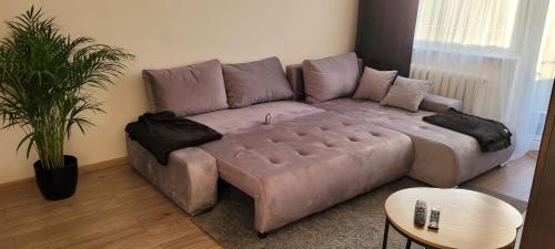 a brown couch in a living room with a plant at Incanto Apartament in Starogard Gdański