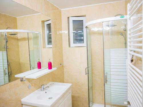 a bathroom with a sink and a glass shower at Escape Aparthotel in Suceava