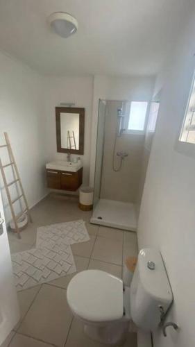 La salle de bains est pourvue de toilettes, d'une douche et d'un lavabo. dans l'établissement Appartement T2 très cosy, à Cayenne