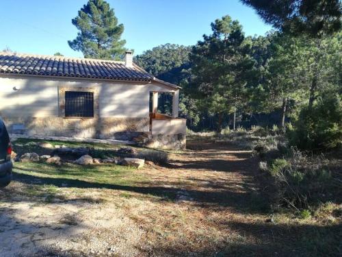 a house with a window and a yard with trees at El Quejigo in Molinicos