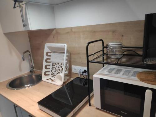 un comptoir de cuisine avec un évier et un micro-ondes dans l'établissement Studio Indépendant dans Maison de Village, à Alignan-du-Vent