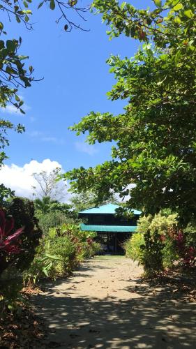a building in the middle of a dirt road with trees at Casa Kumbaya Costa Rica in Cabo Matapalo