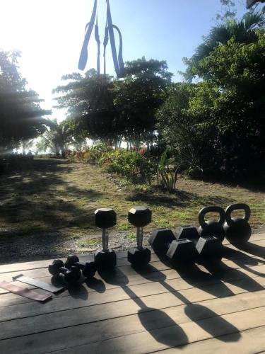 a group of weights sitting on a wooden table at Casa Kumbaya Costa Rica in Cabo Matapalo