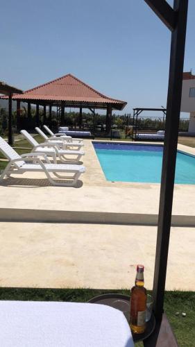a bottle of beer sitting on a table in front of a pool at Casa Bita Morales CASA 201 in Cartagena de Indias