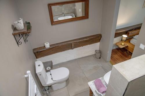 uma casa de banho com um WC e um espelho na parede em Chambre indépendante n3 - Bretzel et Bergamote em Richtolsheim