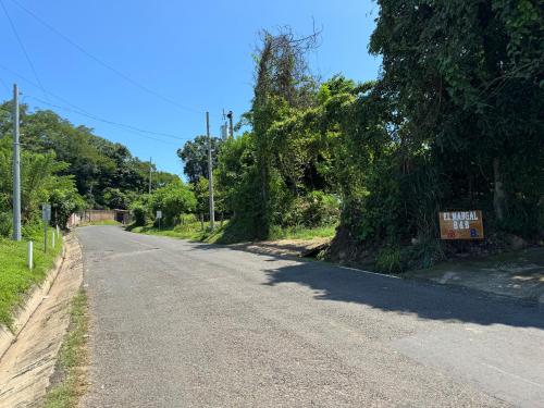 an empty road with trees on the side of the road at El mangal B&B in Suchitoto
