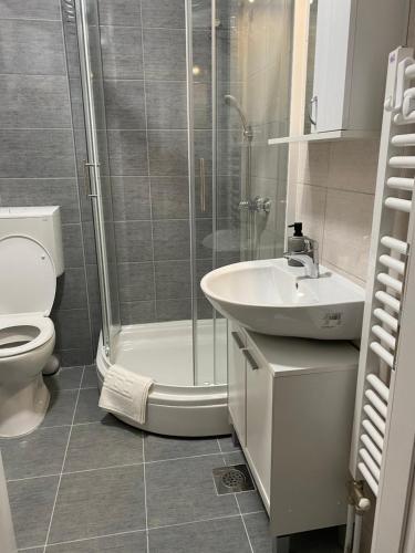 a bathroom with a shower and a sink and a toilet at Dream Apartment in Lukavica