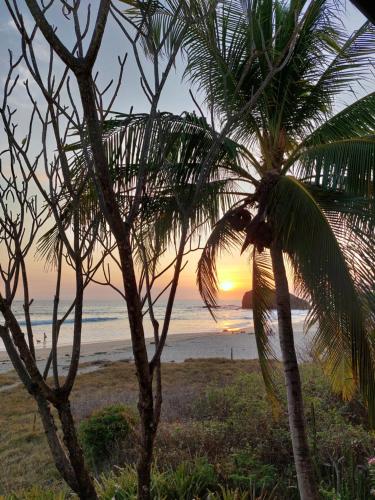 a palm tree on the beach with the sunset in the background at Palm Beach Inn in Playa Grande
