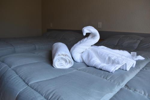 una cama con dos cisnes hechos de toallas en El Suburbio - Serapio Rendon en Morelia