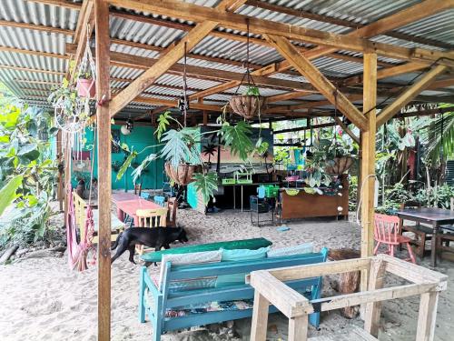 Fotografie z fotogalerie ubytování Oasis Beachfront Hostel v destinaci Puerto Limón