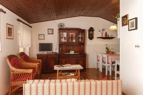 TV a/nebo společenská místnost v ubytování Apartment Ikana