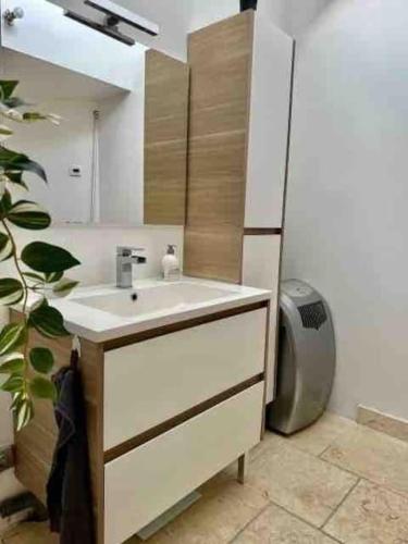 une salle de bain avec un lavabo et un miroir dans l'établissement Charme et calme, 45 min de Paris Gare de Lyon, à Vernou-sur-Seine