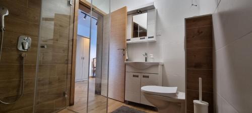 uma casa de banho com um WC, um lavatório e um chuveiro em CITY ESCAPE APARTMENTS em Zuce