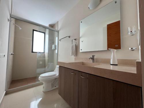 uma casa de banho com um lavatório, um WC e um espelho. em Departamento en CDMX, zona norte em Cidade do México