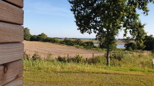 a tree in a field next to a fence at Reetdorf Geltinger Birk Künstlerkate Lagune in Nieby