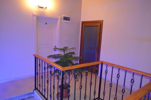 a room with a staircase with a plant on it at Ada Palas Otel in Marmara Adasi