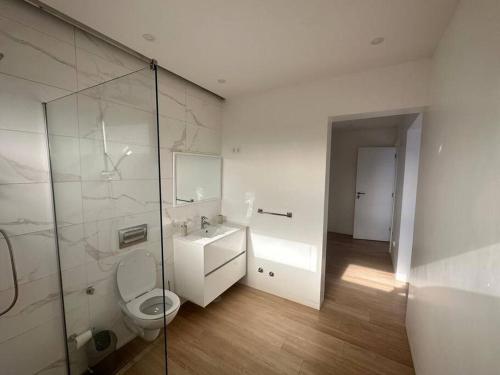 ein Bad mit einem WC, einem Waschbecken und einer Dusche in der Unterkunft Ocean Mirror Apartment in Praia