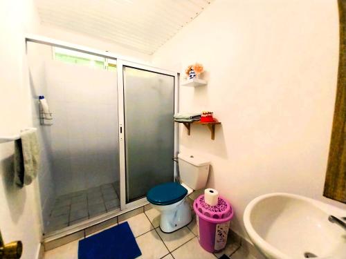 La salle de bains est pourvue d'une douche, de toilettes et d'un lavabo. dans l'établissement TAHITI - Haumaru Beach Fare, à Mahina