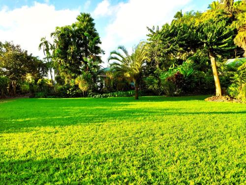 a large green field with palm trees in the background at TAHITI - Haumaru Beach Fare in Mahina