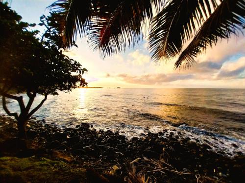 a beach with a palm tree and the ocean at TAHITI - Haumaru Beach Fare in Mahina