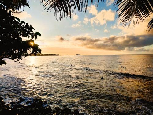 a group of people swimming in the ocean at sunset at TAHITI - Haumaru Beach Fare in Mahina