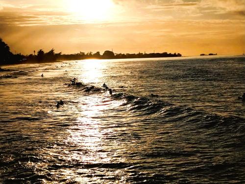 a group of birds in the water at sunset at TAHITI - Haumaru Beach Fare in Mahina