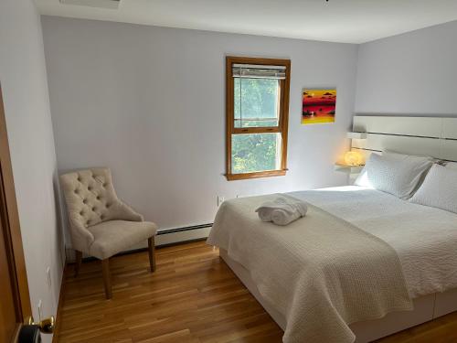 Boston Single Family House - Super Quiet and Private Image