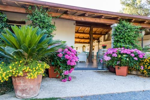 a bunch of flowers in pots in front of a building at hotel Piccolo Ranch in Pula