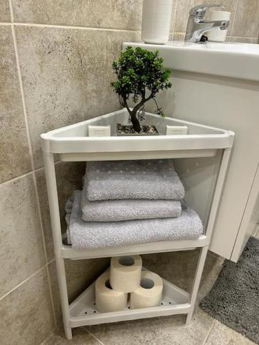 un baño con un estante con toallas y un árbol en CozyStudio10, en Roşu
