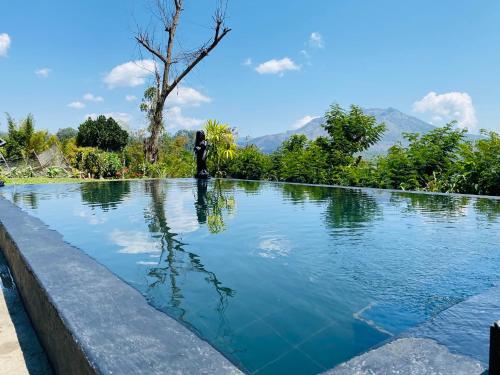 a swimming pool with a person standing in the water at D’Taman cabin Kintamani in Kubupenlokan