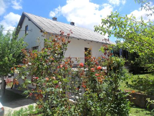 Κήπος έξω από το Guest House Olbina