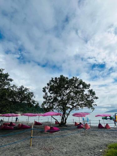 a bunch of pink umbrellas on a beach with a tree at Samba Bluewater Resort in Olongapo