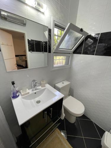 a bathroom with a sink and a toilet and a mirror at Moranit in Moran