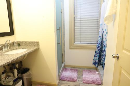 een badkamer met een wastafel, een spiegel en een douche bij Duo Nomad in Washington