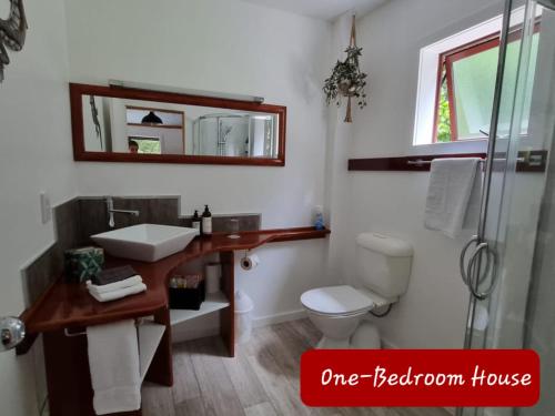 a bathroom with a sink and a toilet and a mirror at Swiss-Kiwi Retreat A self-contained Appartment and a Tiny House option in Tauranga