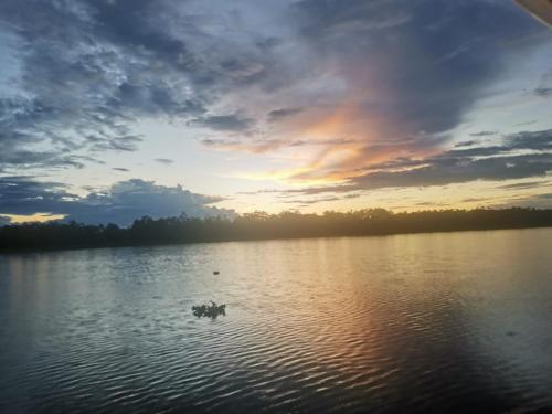 Gambar di galeri bagi Canoa Inn Natural Lodge di Iquitos