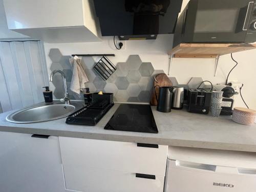 Il comprend une cuisine équipée d'un évier et d'une cuisinière. dans l'établissement Studio bas sur Castelginest, à Castelginest