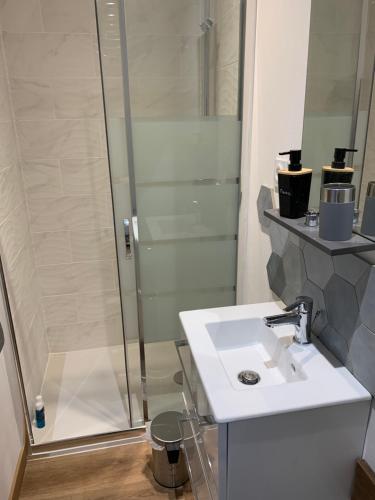 une salle de bain avec un lavabo et une douche dans l'établissement Studio bas sur Castelginest, à Castelginest