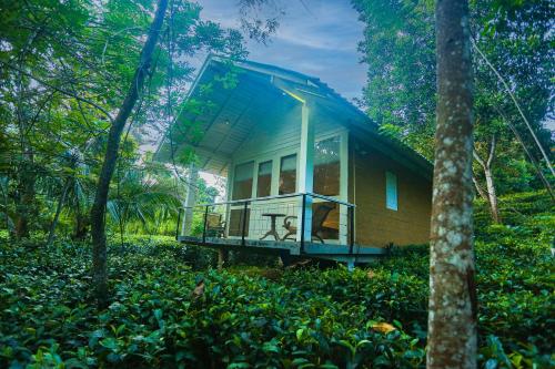 Ilukketiya Tea Chalets – Photos 4