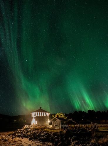 an image of the aurora in the sky over a building at Norwegian Wild in Vangsvik